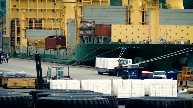 Forklifts and trucks working at port to load heavy freight onto ocean vessel.
