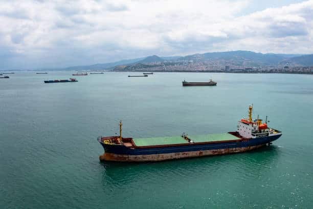 Cargo vessel anchored offshore with multiple ships in the distance, representing maritime backlog caused by port delays and limited berthing availability.