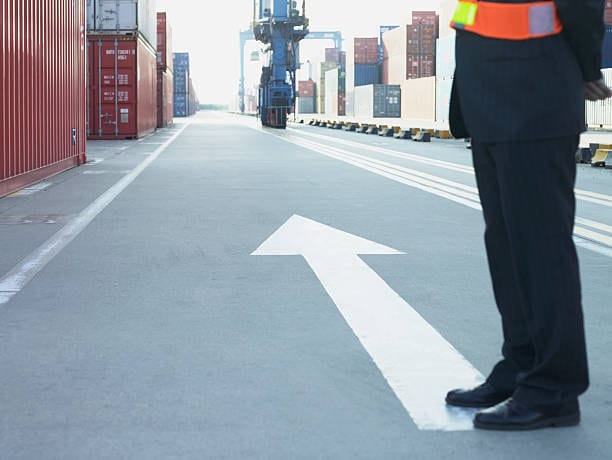 Customs official supervising container terminal for import clearance.
