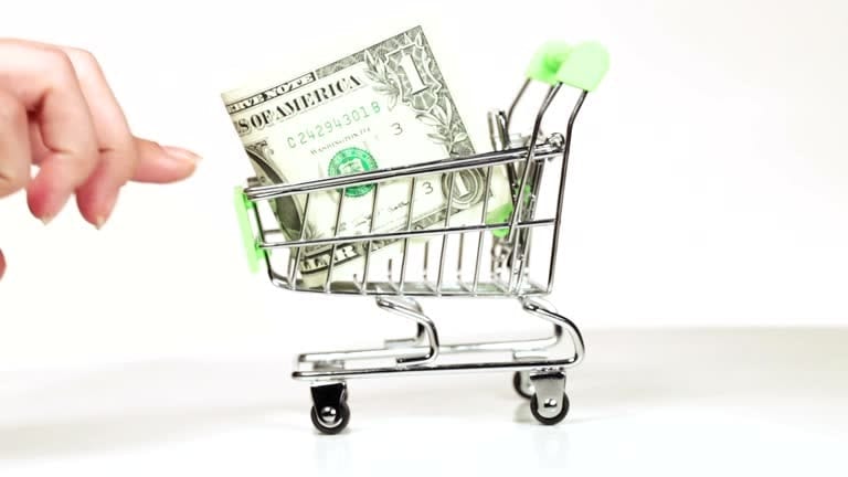 Mini cart carrying US dollar bill symbolizing freight cost responsibilities in CPT agreements.