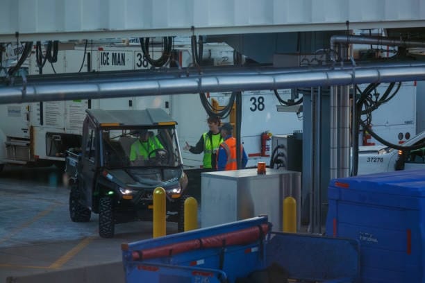 Freight handling staff coordinating customs clearance operations in a loading area.