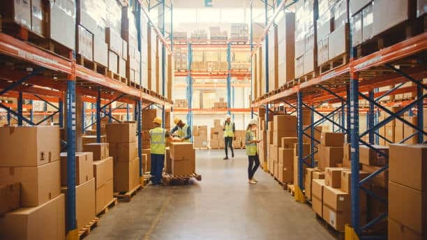 Warehouse staff managing French import operations